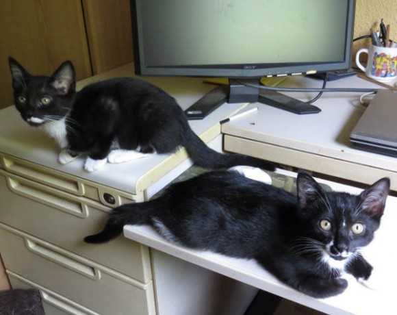 Emelie und Sophia Emelie und Sophia