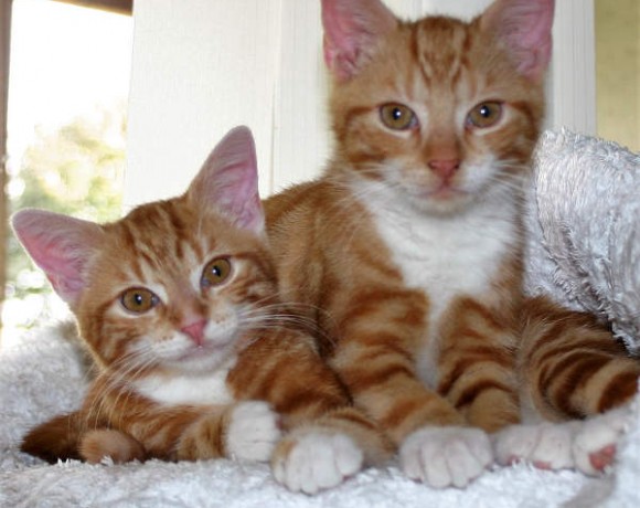 Bente und Ole Bente und Ole