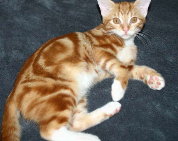 Bente und Ole Bente und Ole