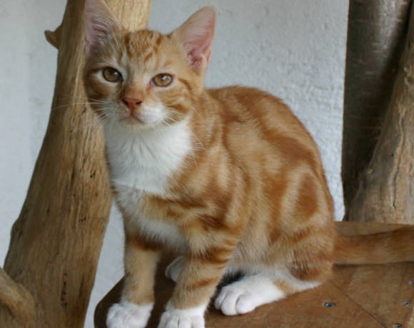 Bente und Ole Bente und Ole