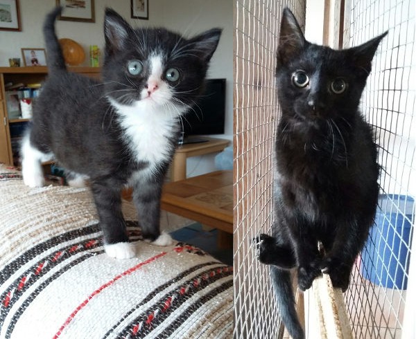 Rani (vermittelt) und Tamica