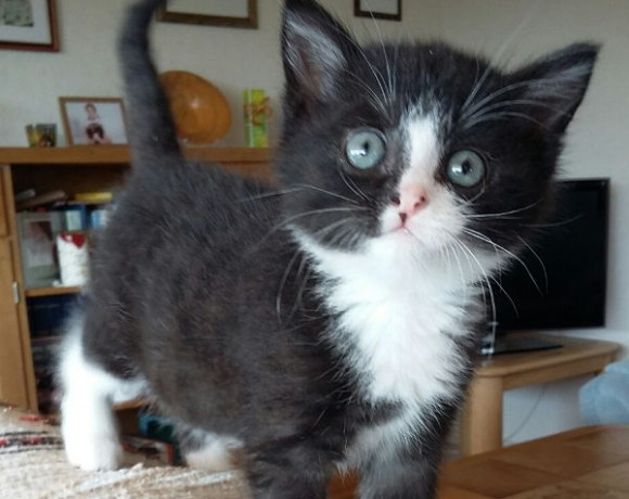 Rani (vermittelt) und Tamica