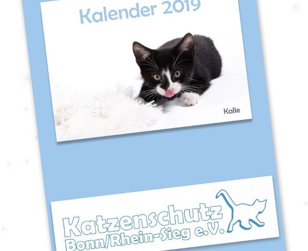 Der Jahreskalender 2019: Jetzt bestellen oder auf dem Basar erwerben