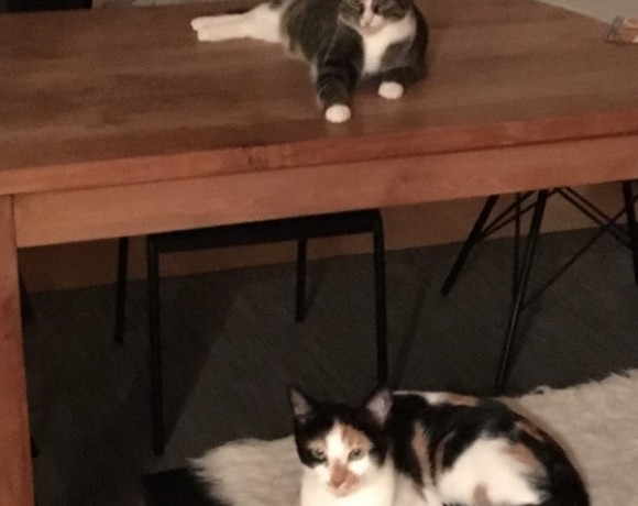 Mia und Khaleesi Mia und Khaleesi