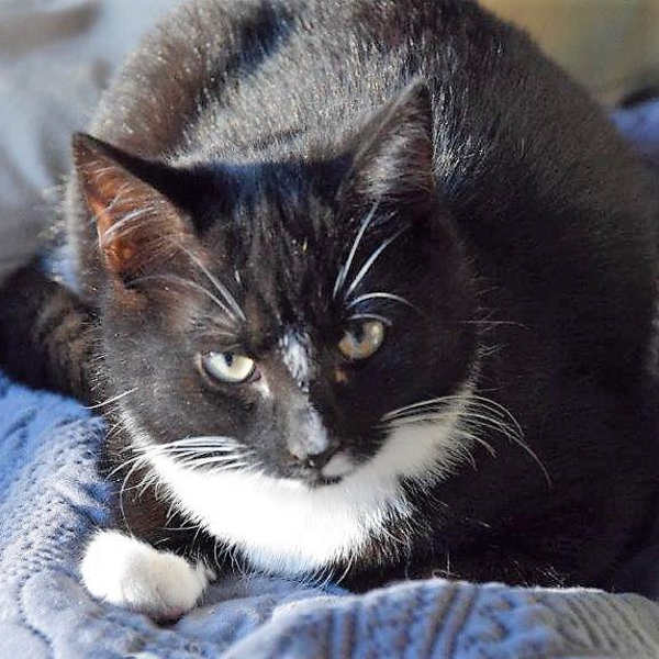 Emily-Erdbeer Emily-Erdbeer