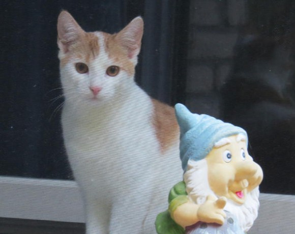 Luke und Shorty Luke und Shorty