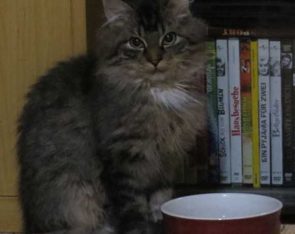 Luke und Shorty Luke und Shorty