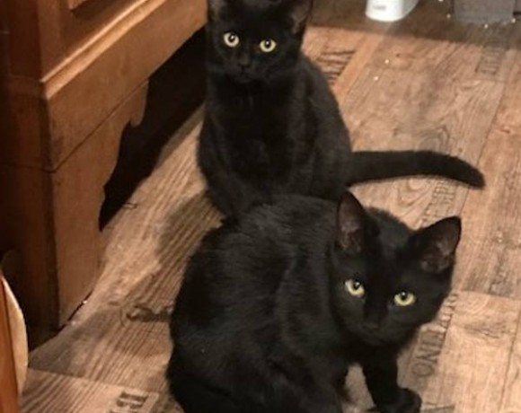 Olivia und June