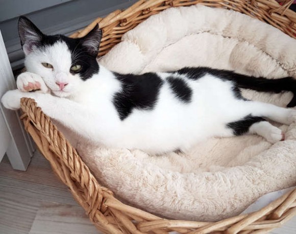 Piggeldy und Frolix Piggeldy und Frolix