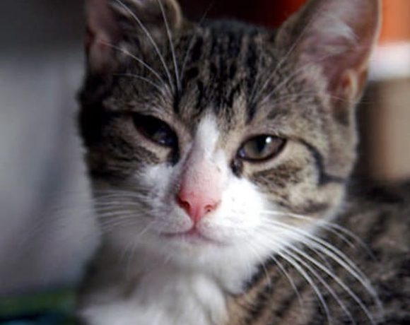 Ernie und Bert Ernie und Bert