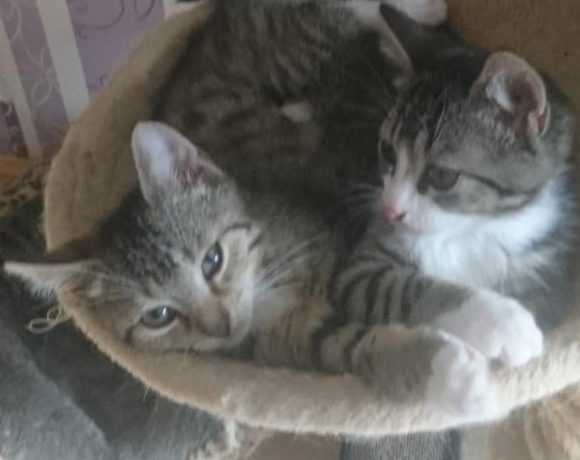 Ernie und Bert Ernie und Bert