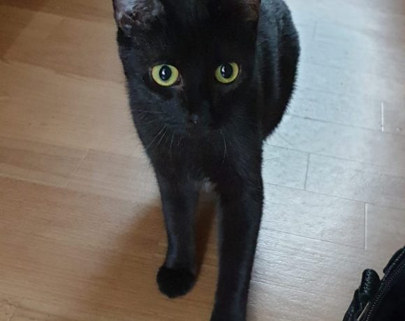 Brombeerchen und Blaubeerchen