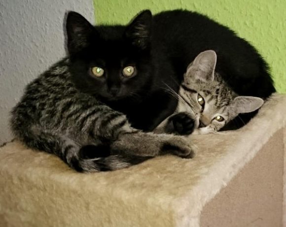 Thelma und Louise Thelma und Louise