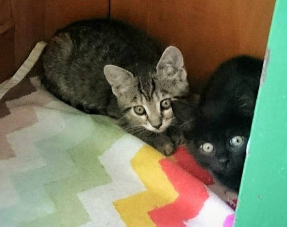 Thelma und Louise Thelma und Louise