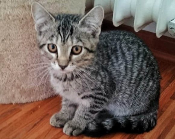 Thelma und Louise Thelma und Louise