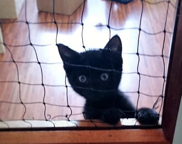 Thelma und Louise Thelma und Louise