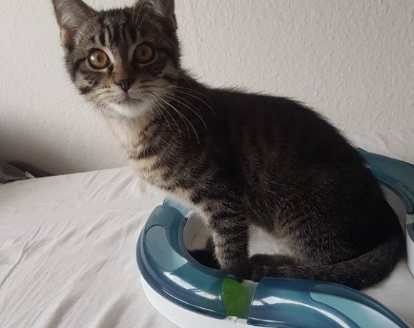 Hazel und Kuro Hazel und Kuro