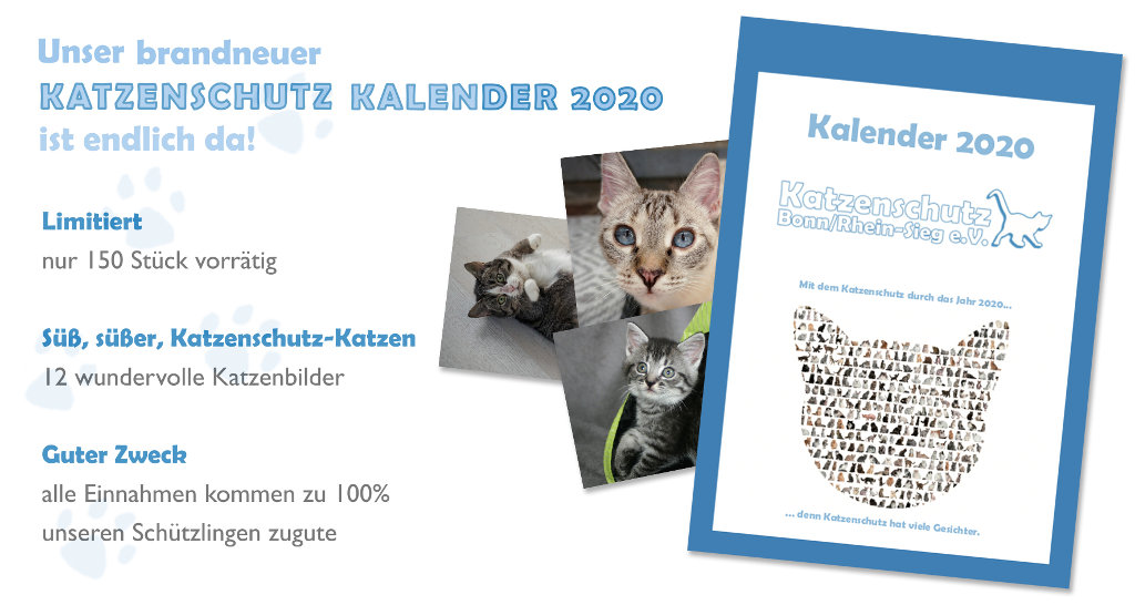 Katzenschutz-Kalender 2019