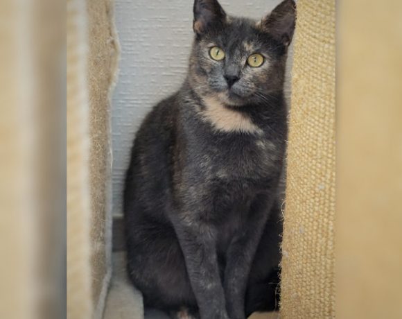 Griselda und Minka Griselda und Minka