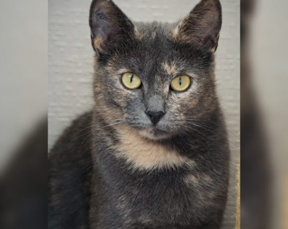 Griselda und Minka Griselda und Minka