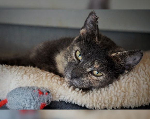 Griselda und Minka Griselda und Minka