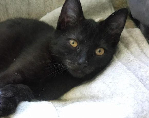 Mogli und Happy Mogli und Happy