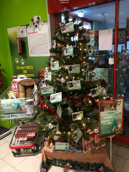 Wunschbaum im Fressnapf Bad Honnef