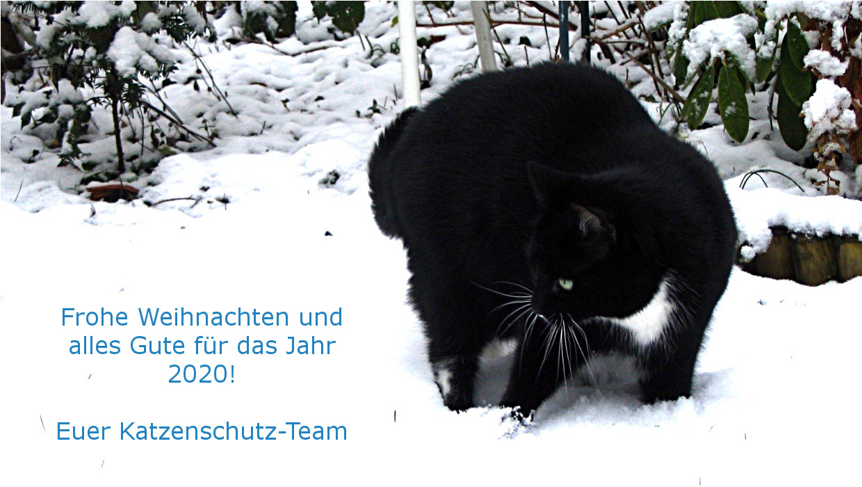 Frohe Weihnachten und alles Gute für das Jahr 2020