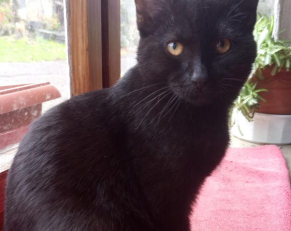 Mogli und Happy Mogli und Happy