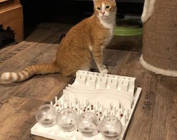 Bonny und Clyde Bonny und Clyde