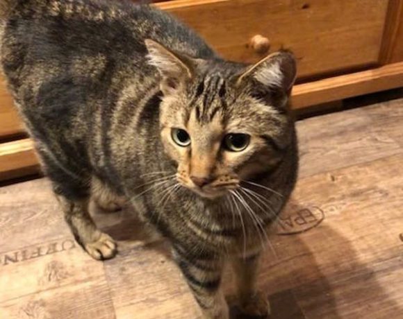 Bonny und Clyde Bonny und Clyde