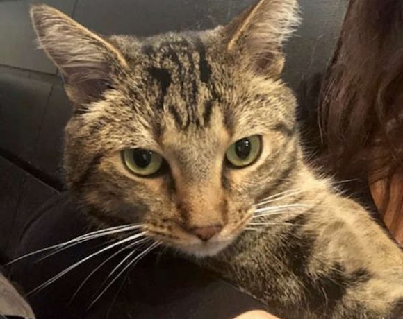 Bonny und Clyde Bonny und Clyde