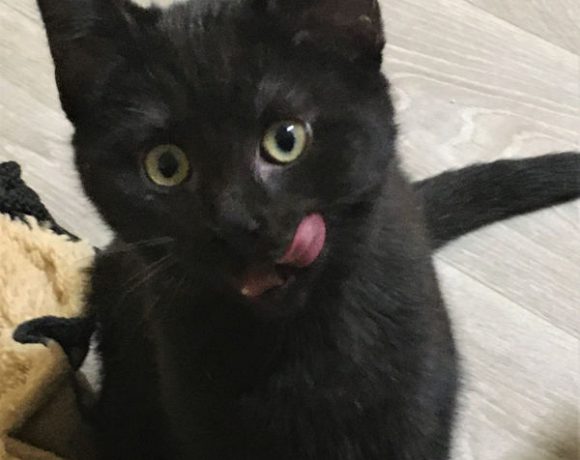 Clementine und August