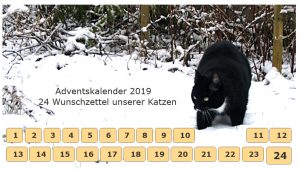 Adventskalender 2019