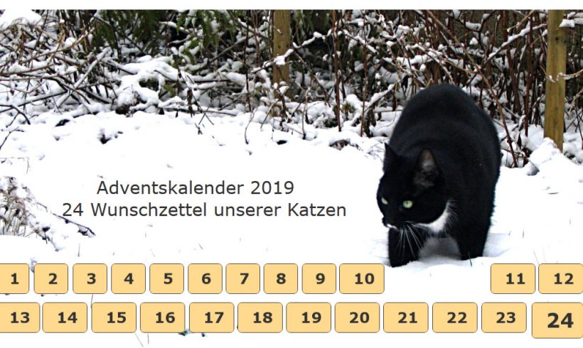 Adventskalender 2019 – Die Katzen haben ihre Wunschzettel diktiert