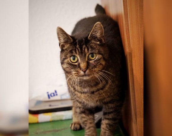 Bianca, genannt Bibi Bianca, genannt Bibi