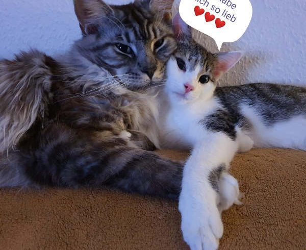 Grüße von Mickey Grüße von Mickey