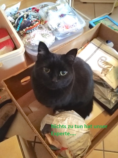 Der Experte hat nichts zu tun