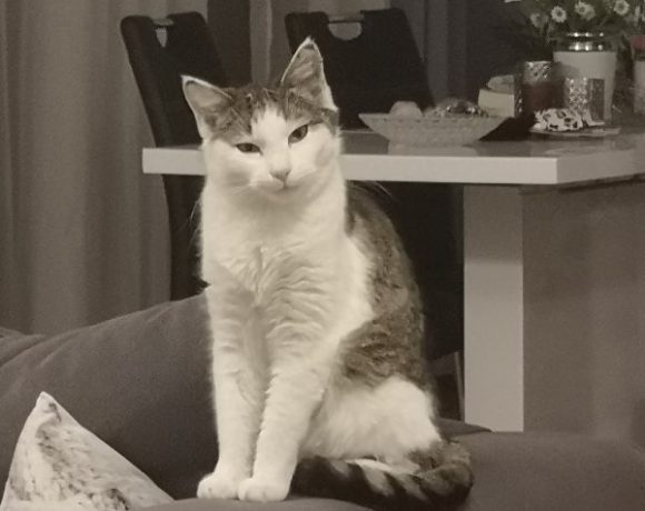 Yumi, Kiana und Penny Yumi, Kiana und Penny