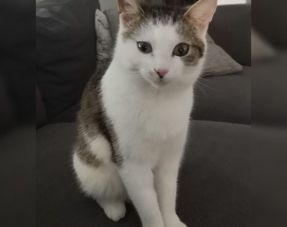 Yumi, Kiana und Penny Yumi, Kiana und Penny