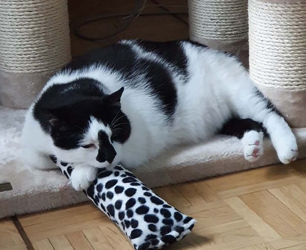 Grüße von Leo und Caesar Grüße von Leo und Caesar