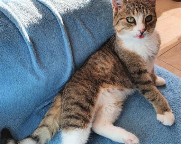 Eini, Siggi und Flori