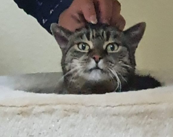 Taylor und Missy Taylor und Missy