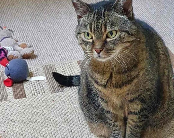 Taylor und Missy Taylor und Missy