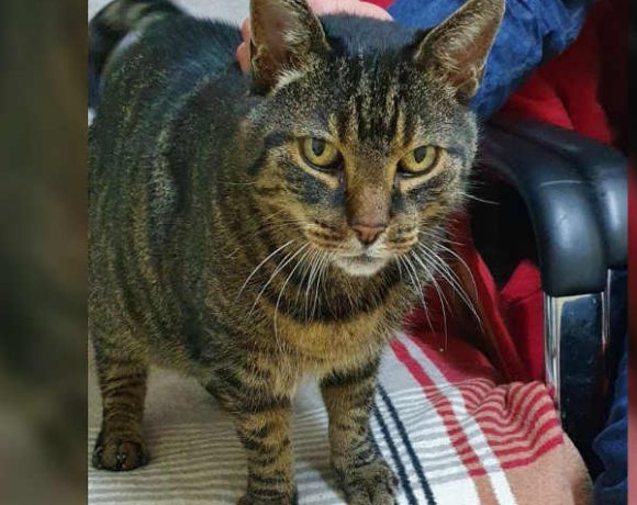 Taylor und Missy Taylor und Missy