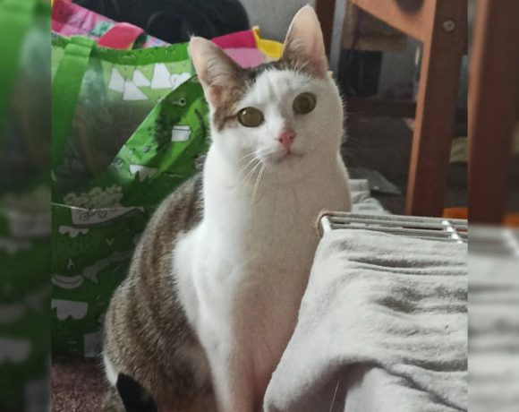 Barney und Murphy Barney und Murphy