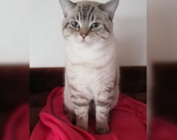 Barney und Murphy Barney und Murphy