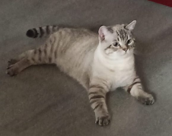 Barney und Murphy Barney und Murphy