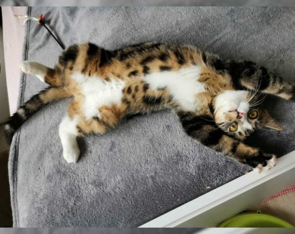 Arthuro und Diego Arthuro und Diego