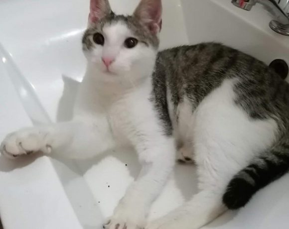 Arthuro und Diego Arthuro und Diego